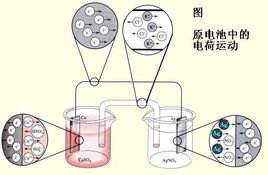 樱花草视频在线观看高清视频厂家