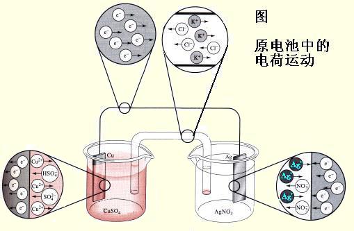 电化学樱花草在线社区www韩国