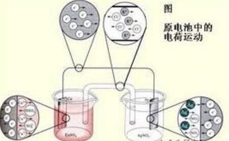 樱花草在线社区www韩国