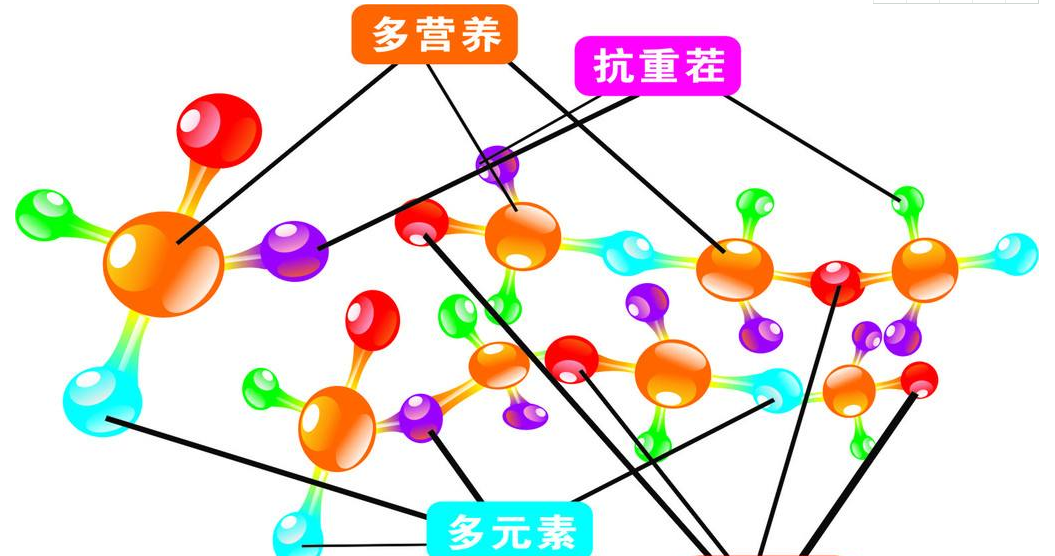 全自动樱花草在线社区www韩国厂家谈锌的临床意义