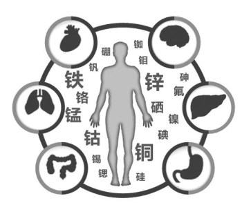 医用樱花草在线社区www韩国厂家谈微量元素的重要性